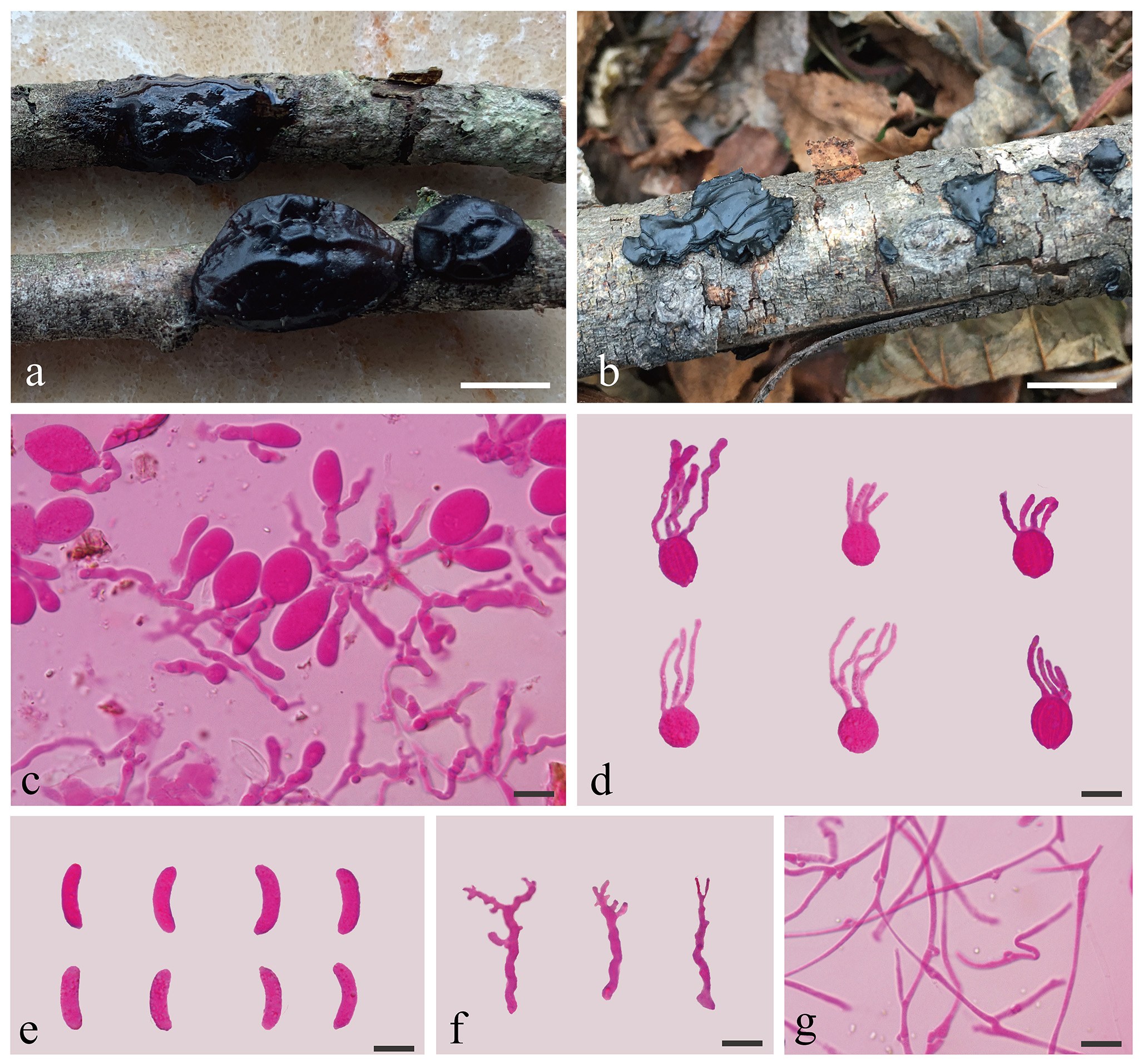 Figure 28